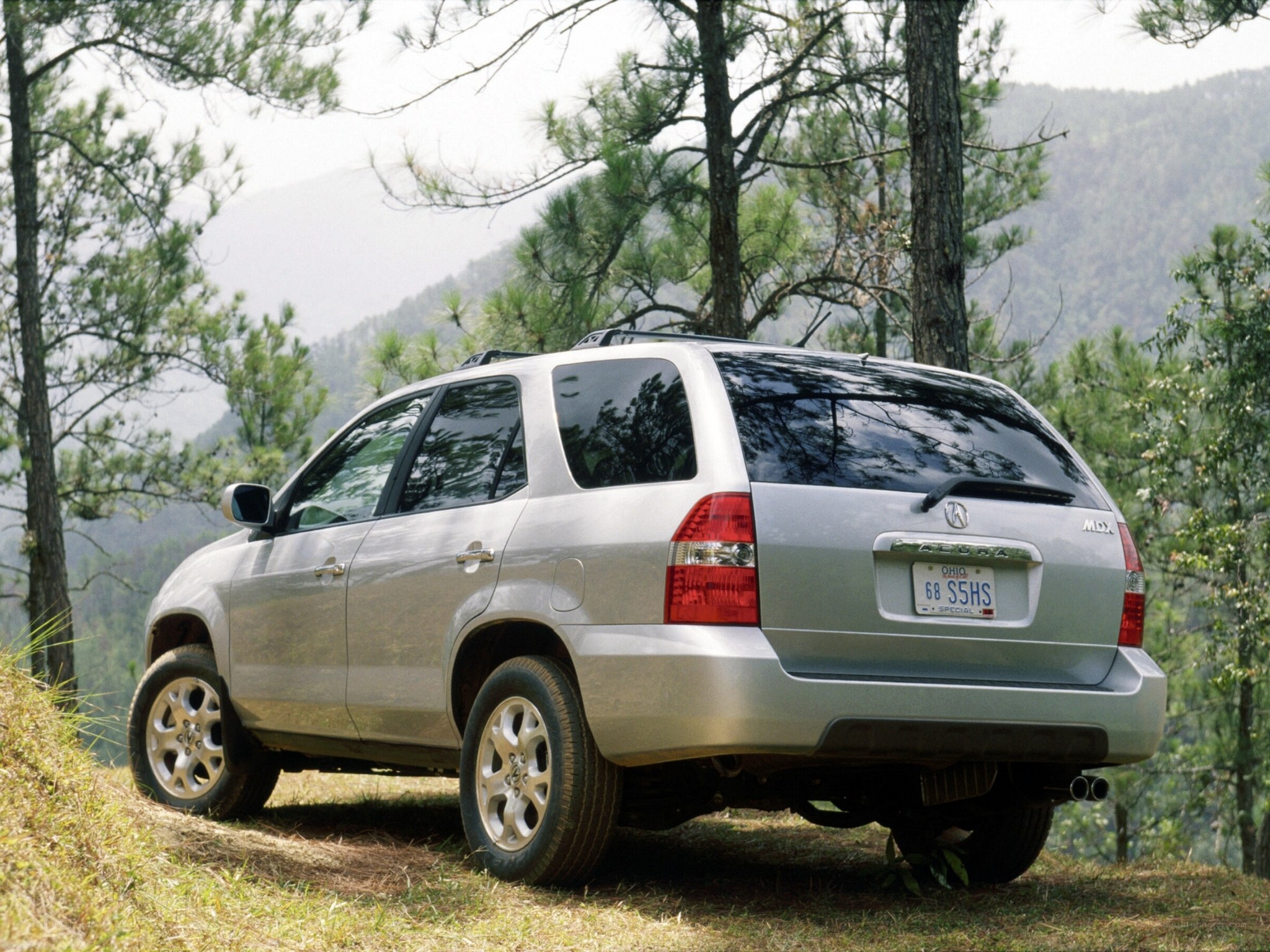 Silver Acura MDX in forest