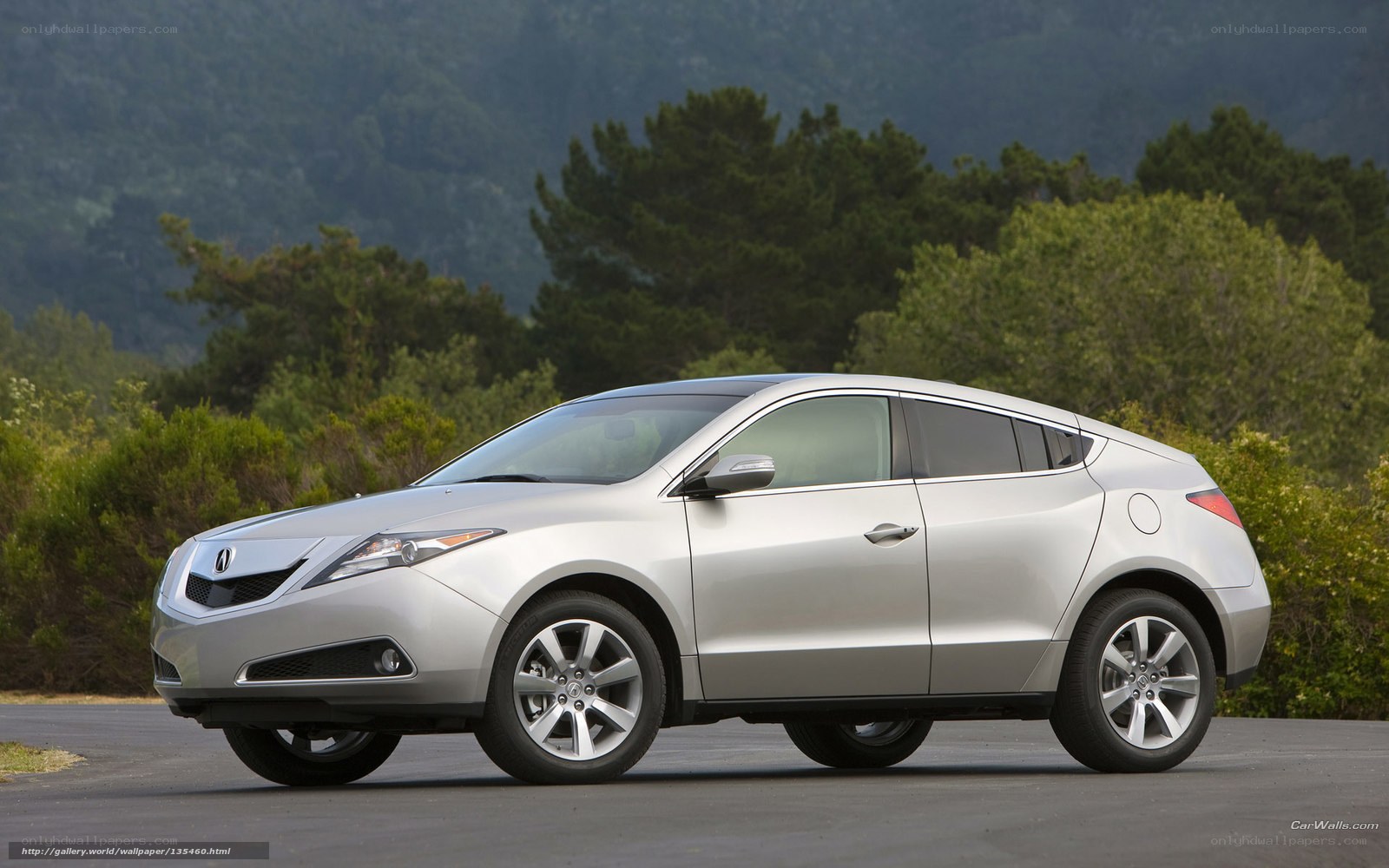 silver acura zdx suv