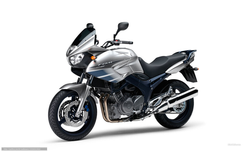 Silver and Blue Motorcycle — Neutral, Photograph, Windshield, Exhaust Pipe
