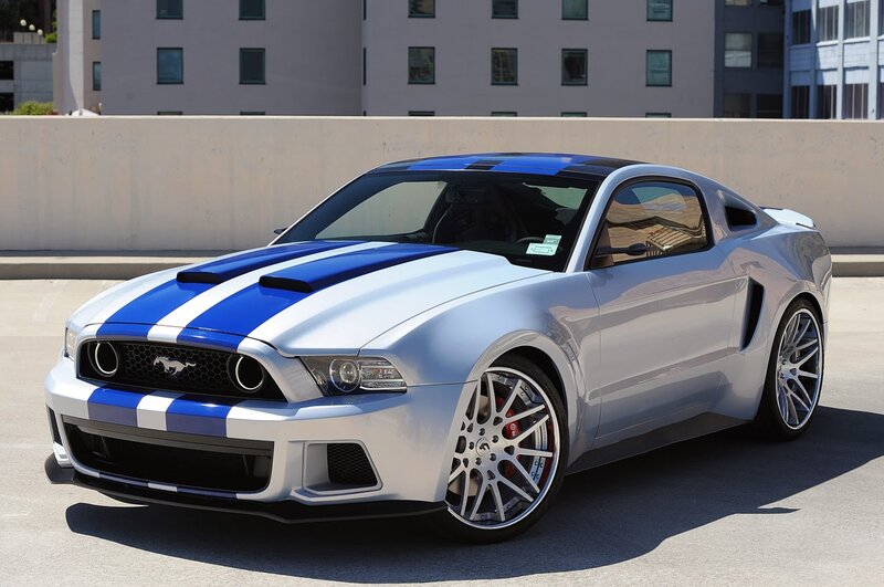 Silver and Blue Mustang — Calm