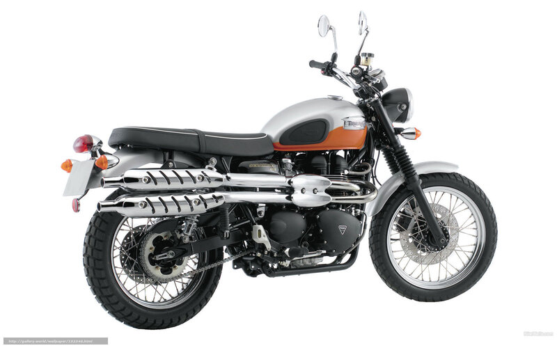 Silver and Orange Motorcycle — Neutral, Photograph, Seat