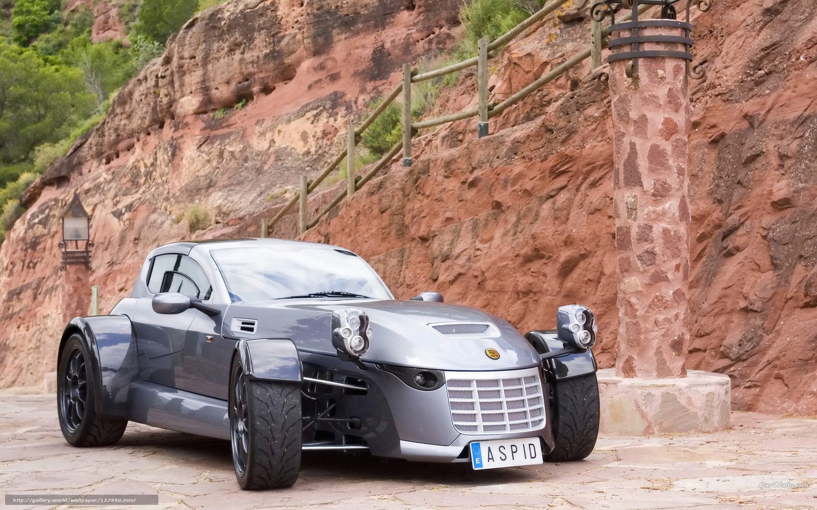 Silver Aspid sports car