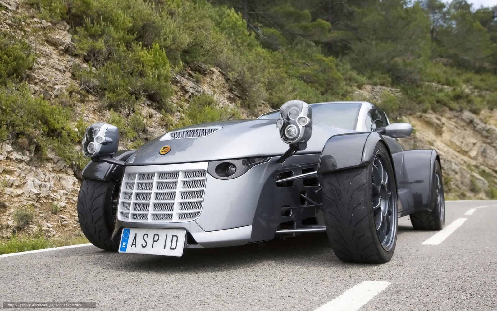 Silver Aspid sports car on road