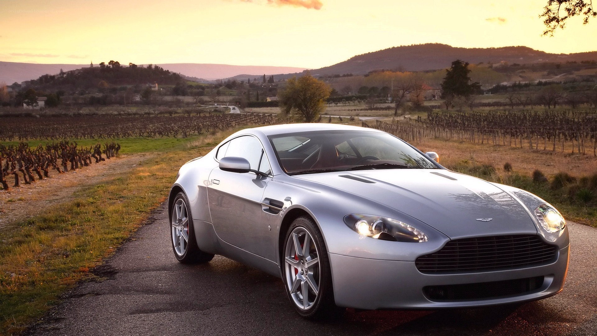 Silver Aston Martin in vineyard