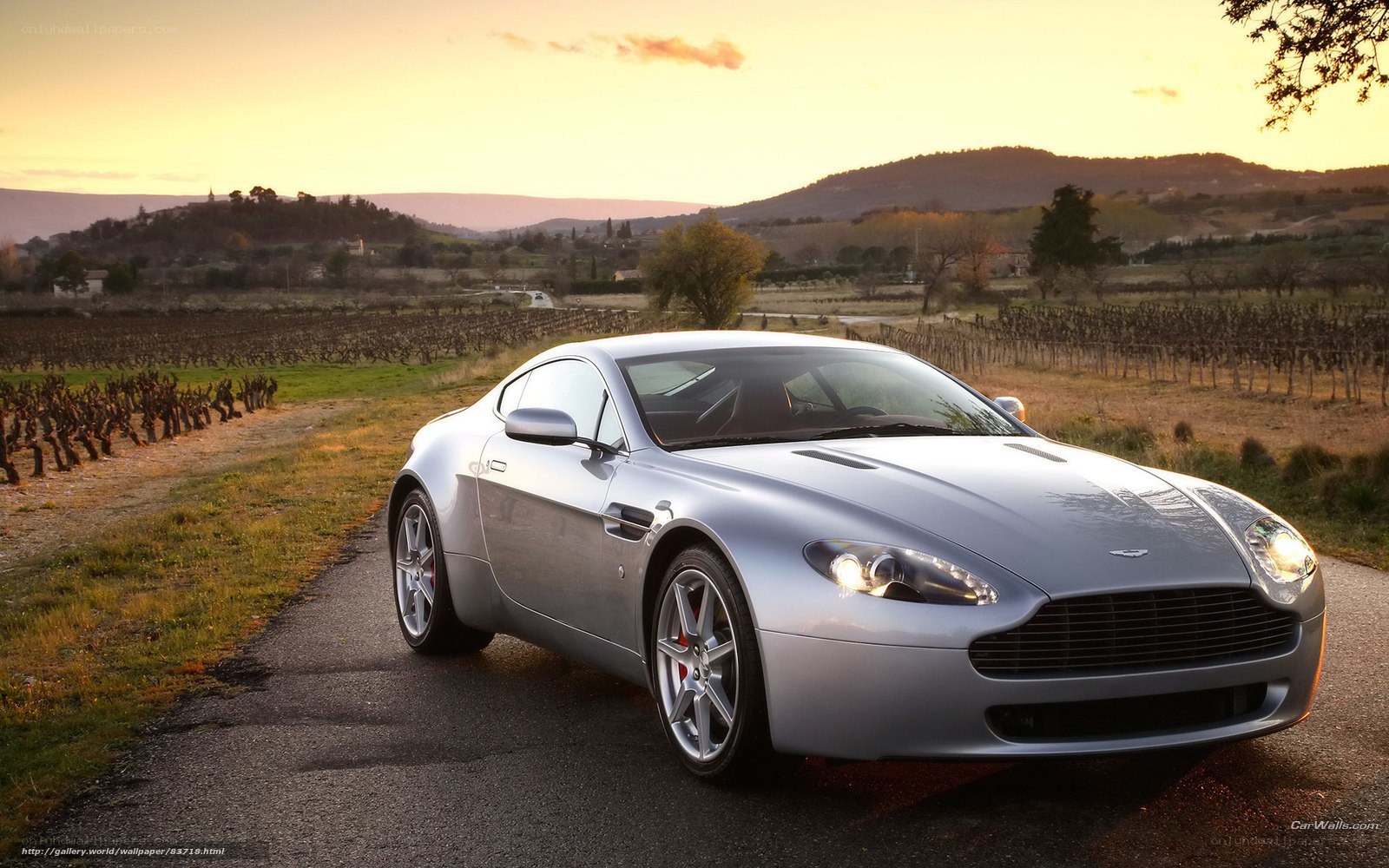 Silver Aston Martin in vineyard