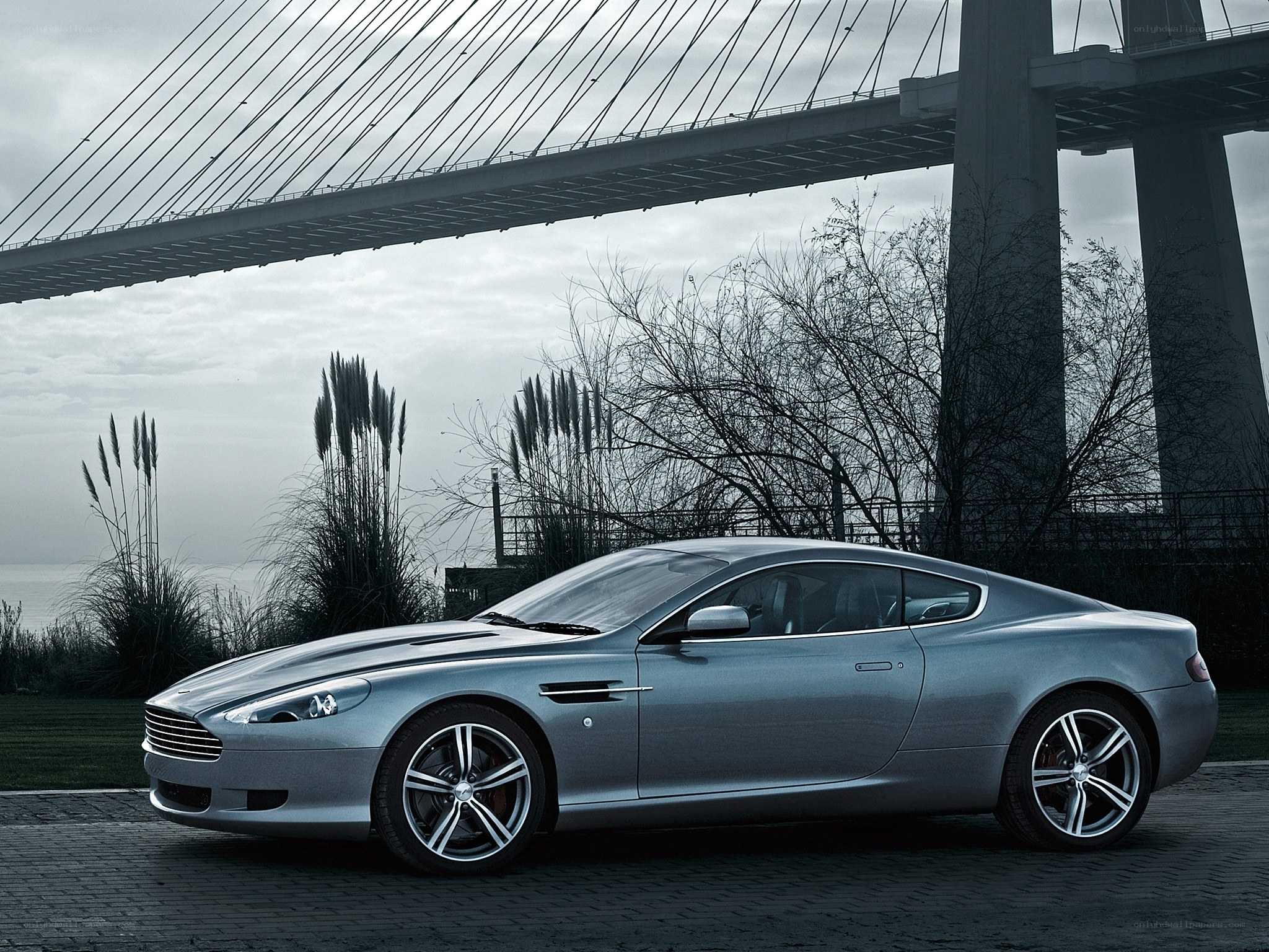 Silver Aston Martin under bridge