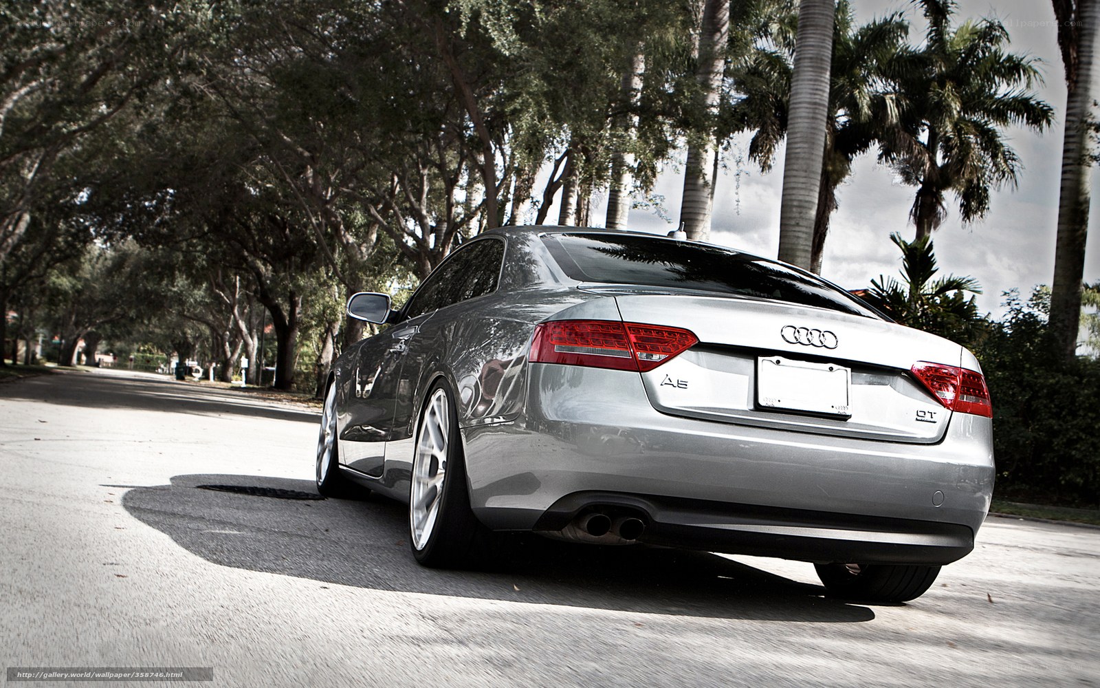 silver audi a5 on a tree-lined street