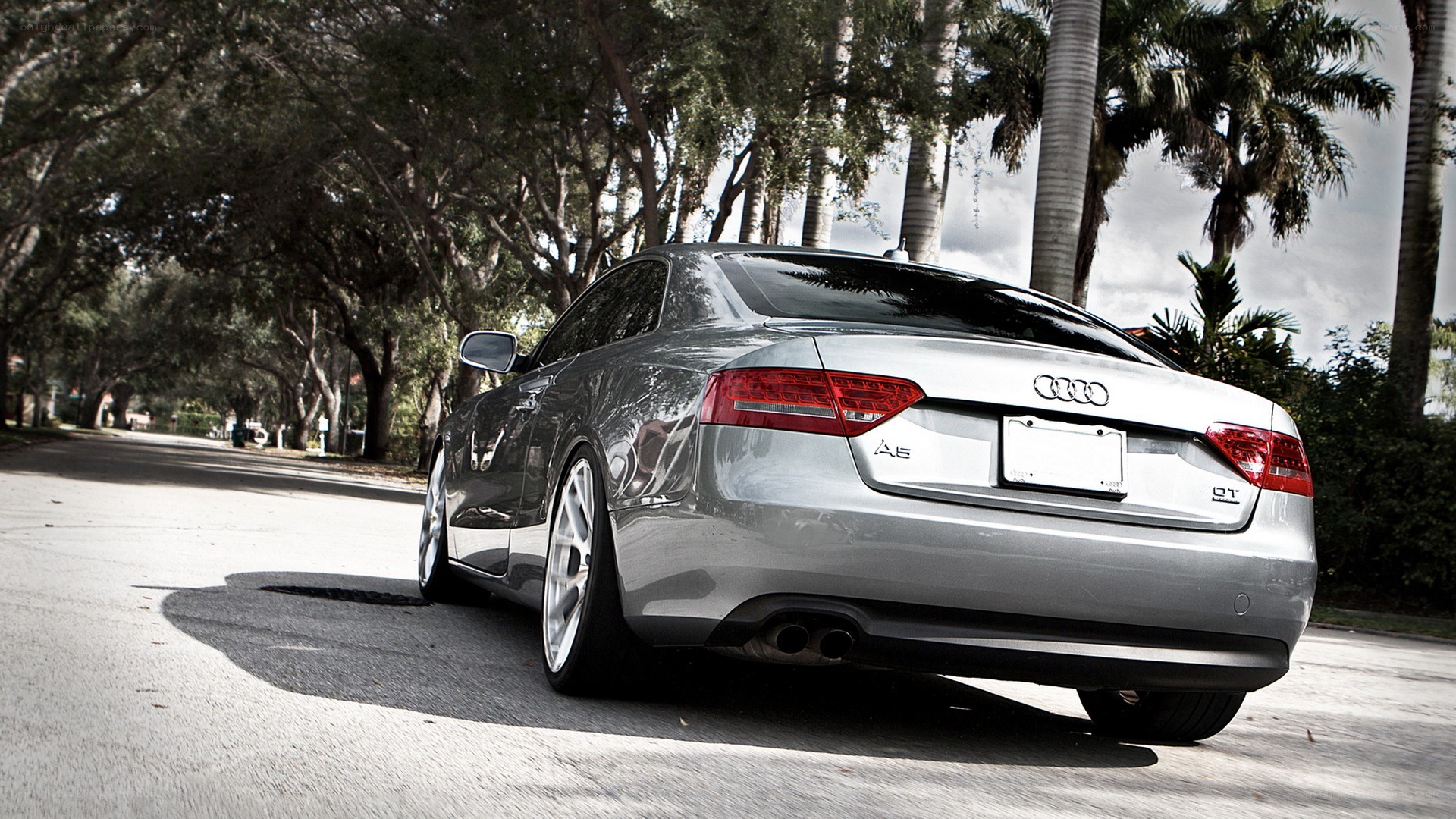 silver audi a5 on tree-lined street