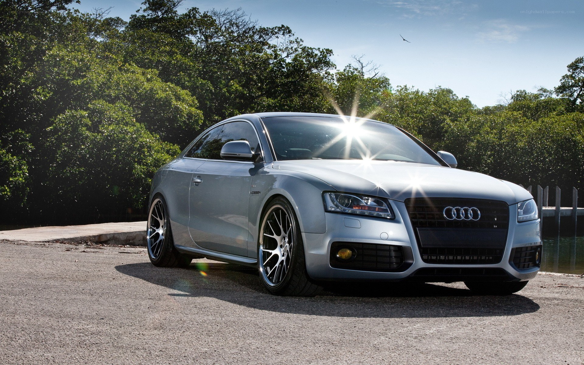 silver audi coupe on a road