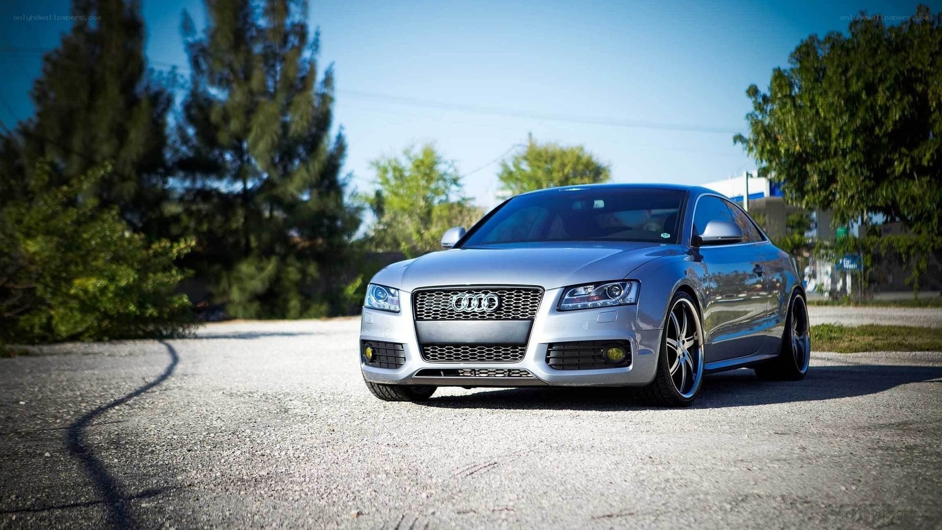 silver audi coupe on asphalt