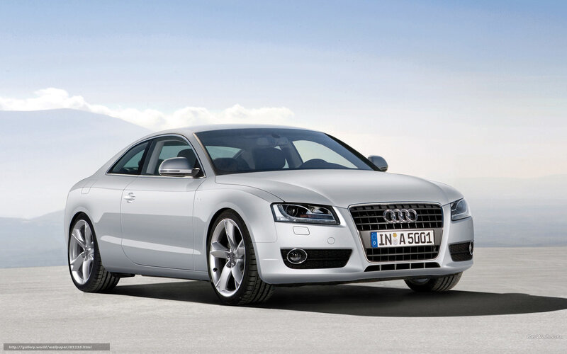 Silver Audi Coupe — Serene, Afternoon