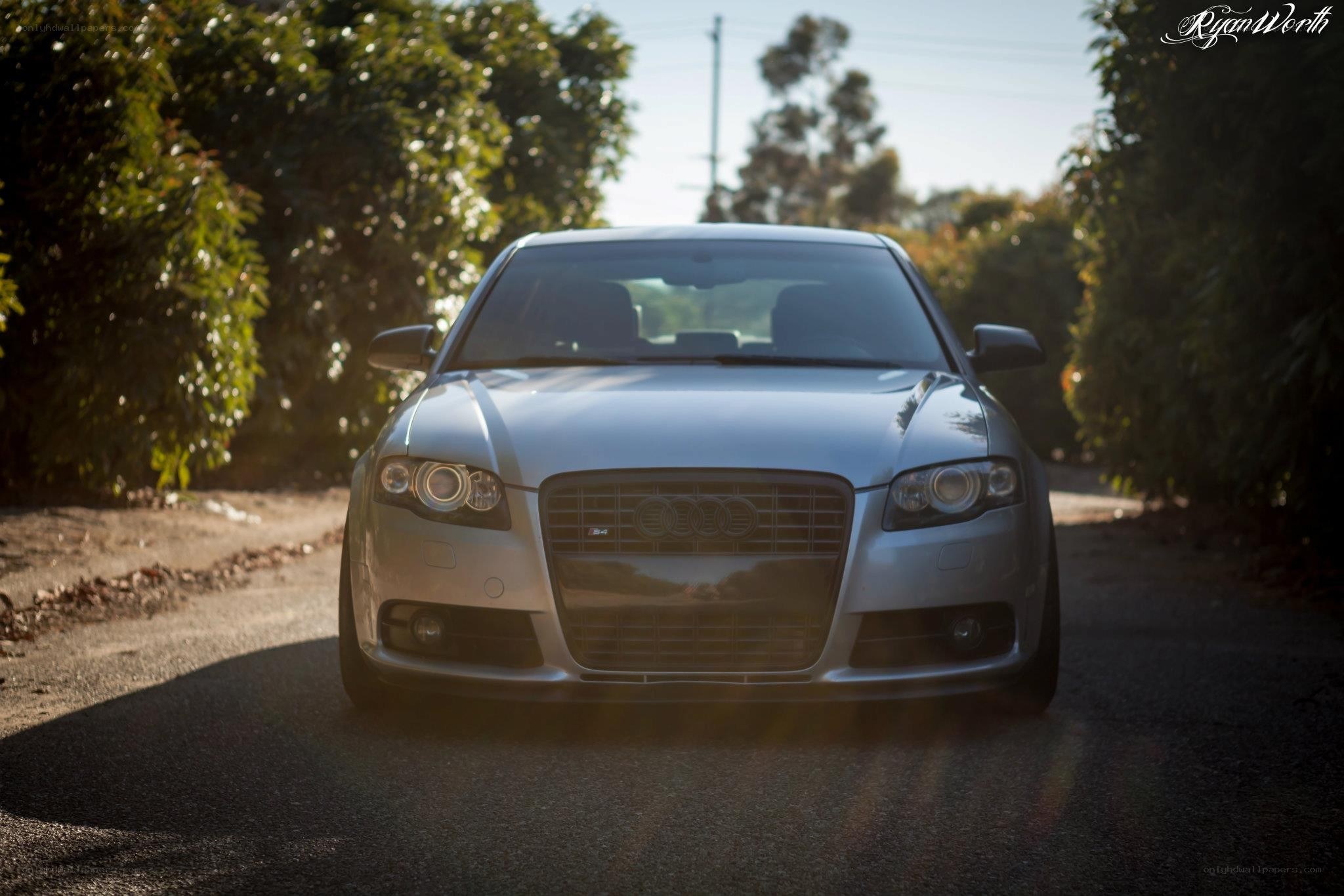 silver audi on a sunlit road