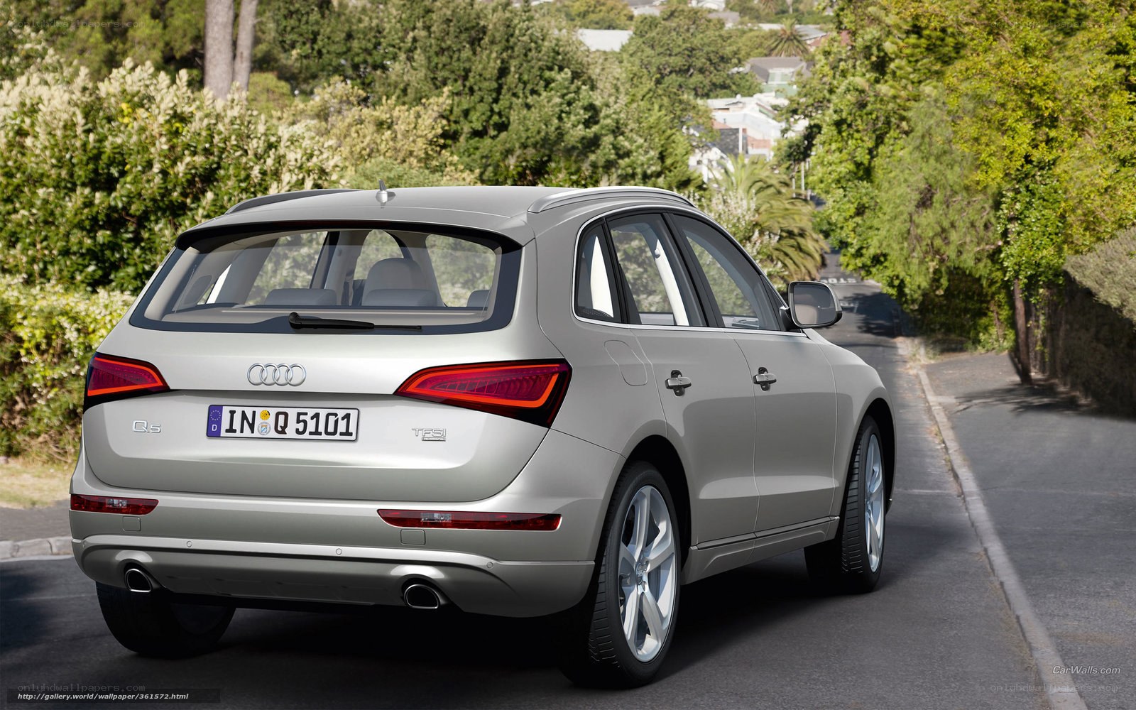 silver audi q5 on a tree-lined road