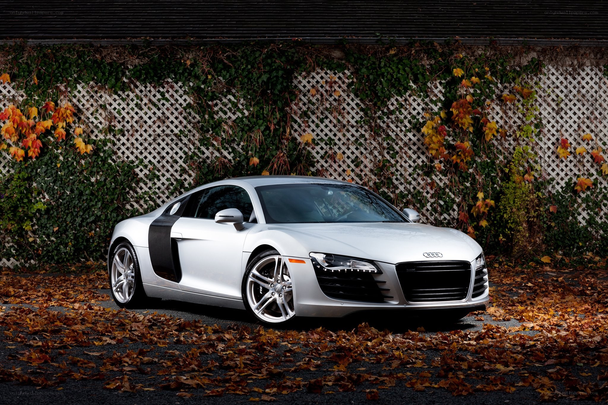 Silver Audi R8 in autumn