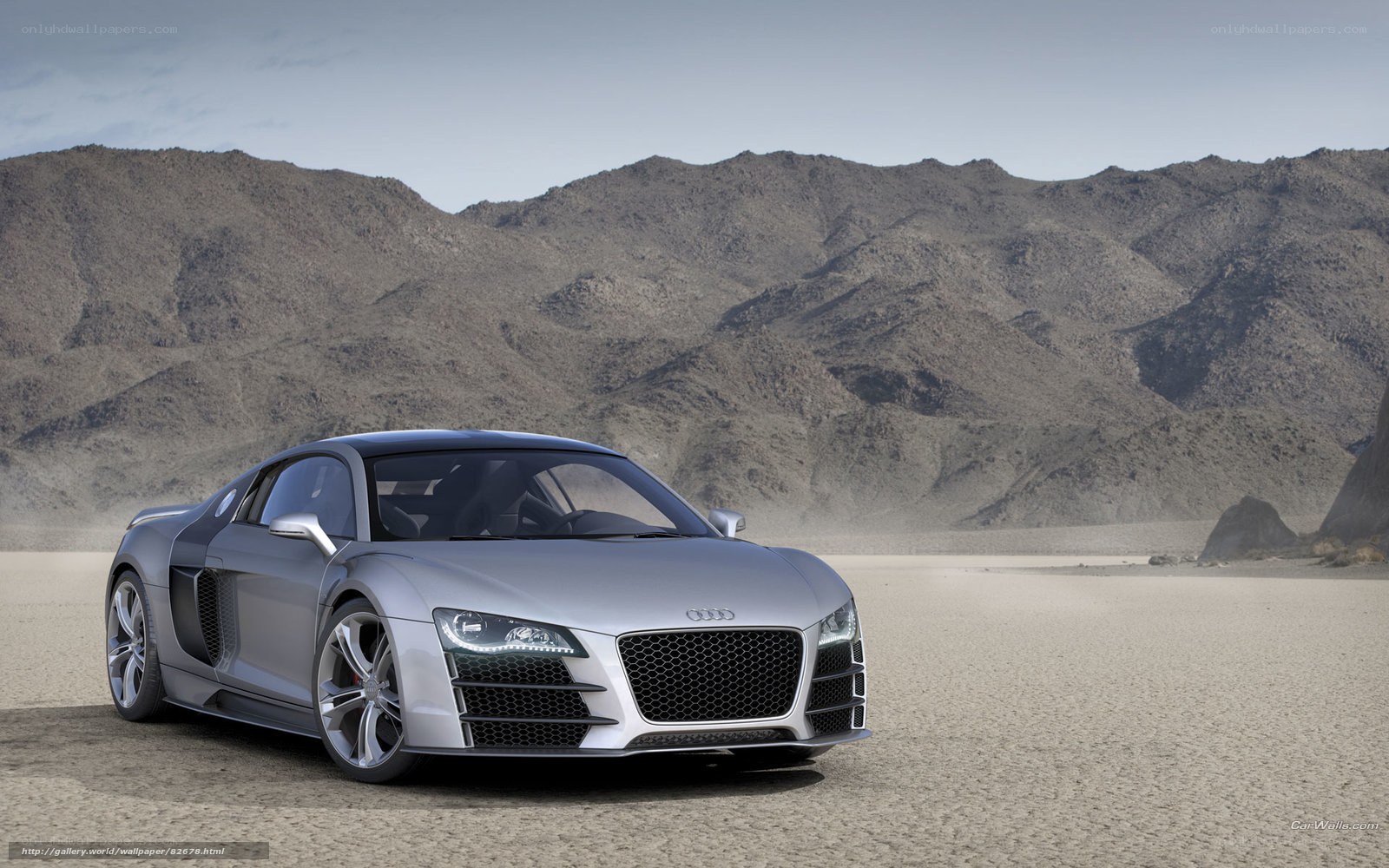 Silver Audi R8 in desert