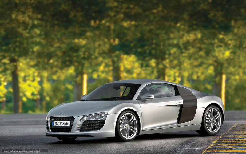 Silver Audi R8 Sports Car — Calm