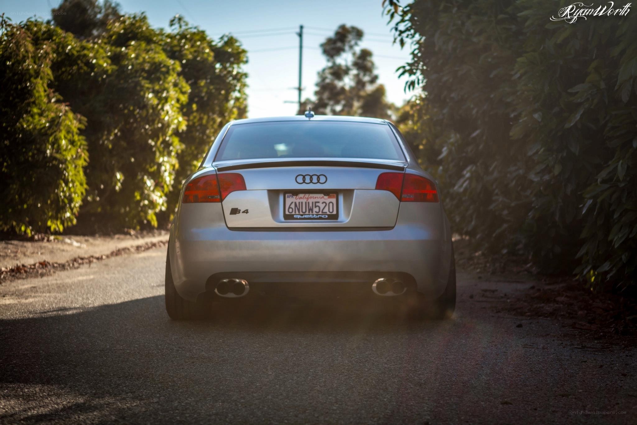 silver audi s4 on a tree-lined road