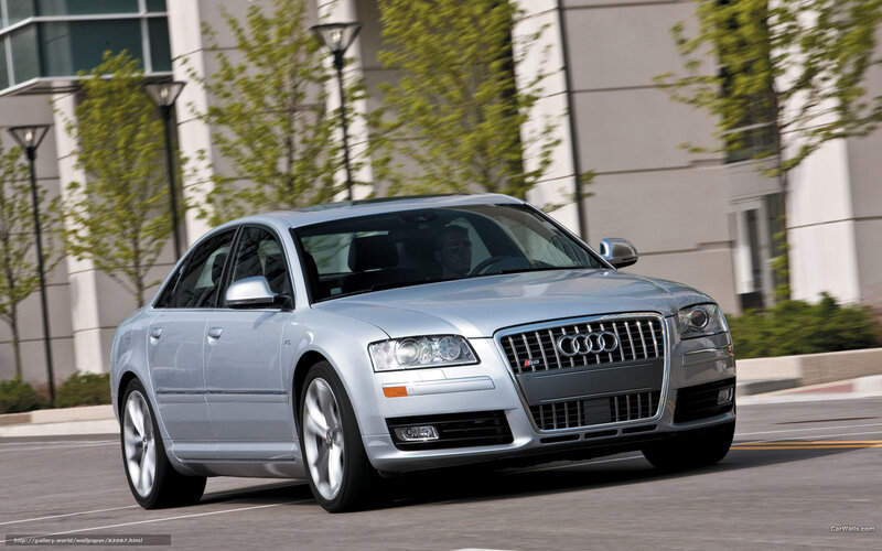 Silver Audi Sedan — Dynamic