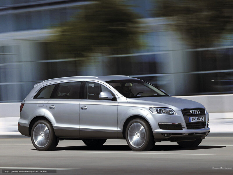 Silver Audi Suv — Dynamic, Afternoon