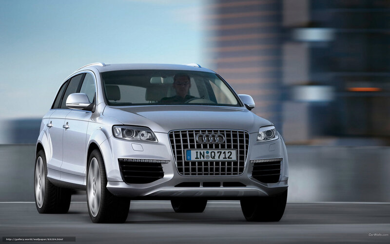 Silver Audi Suv — Dynamic