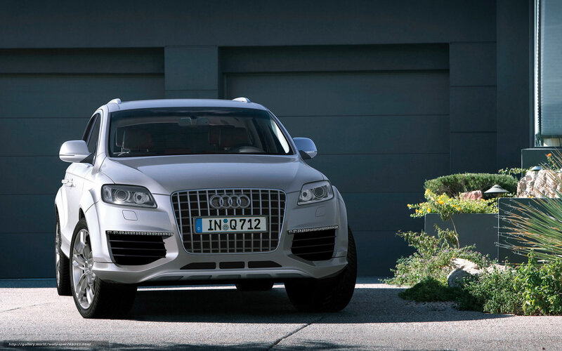 Silver Audi Suv — White, Calm