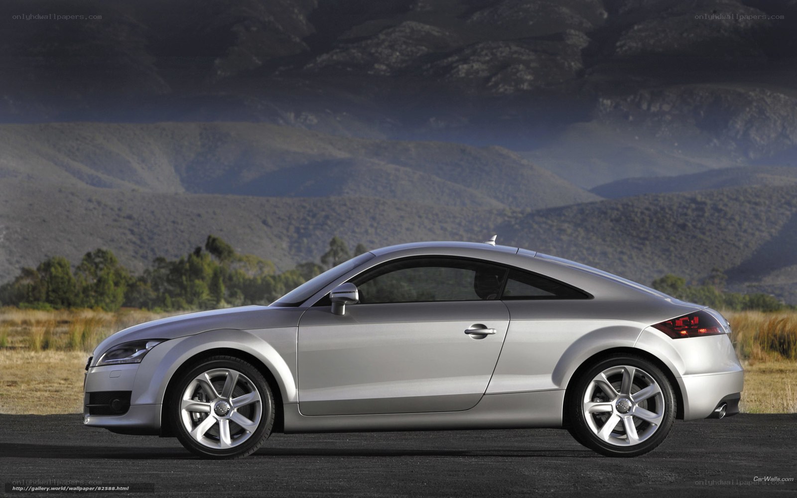Silver Audi TT Coupe