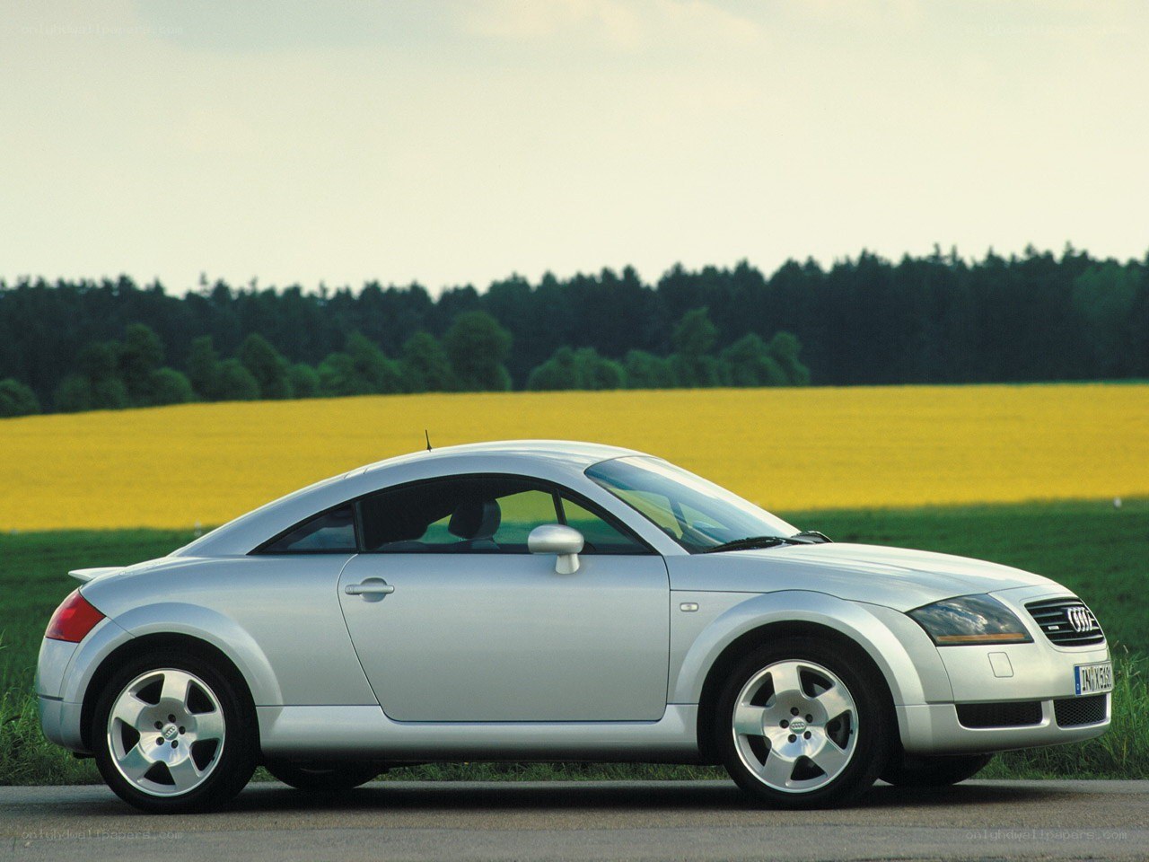 Silver Audi TT in a field