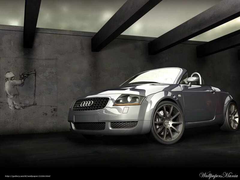 Silver Audi TT in garage