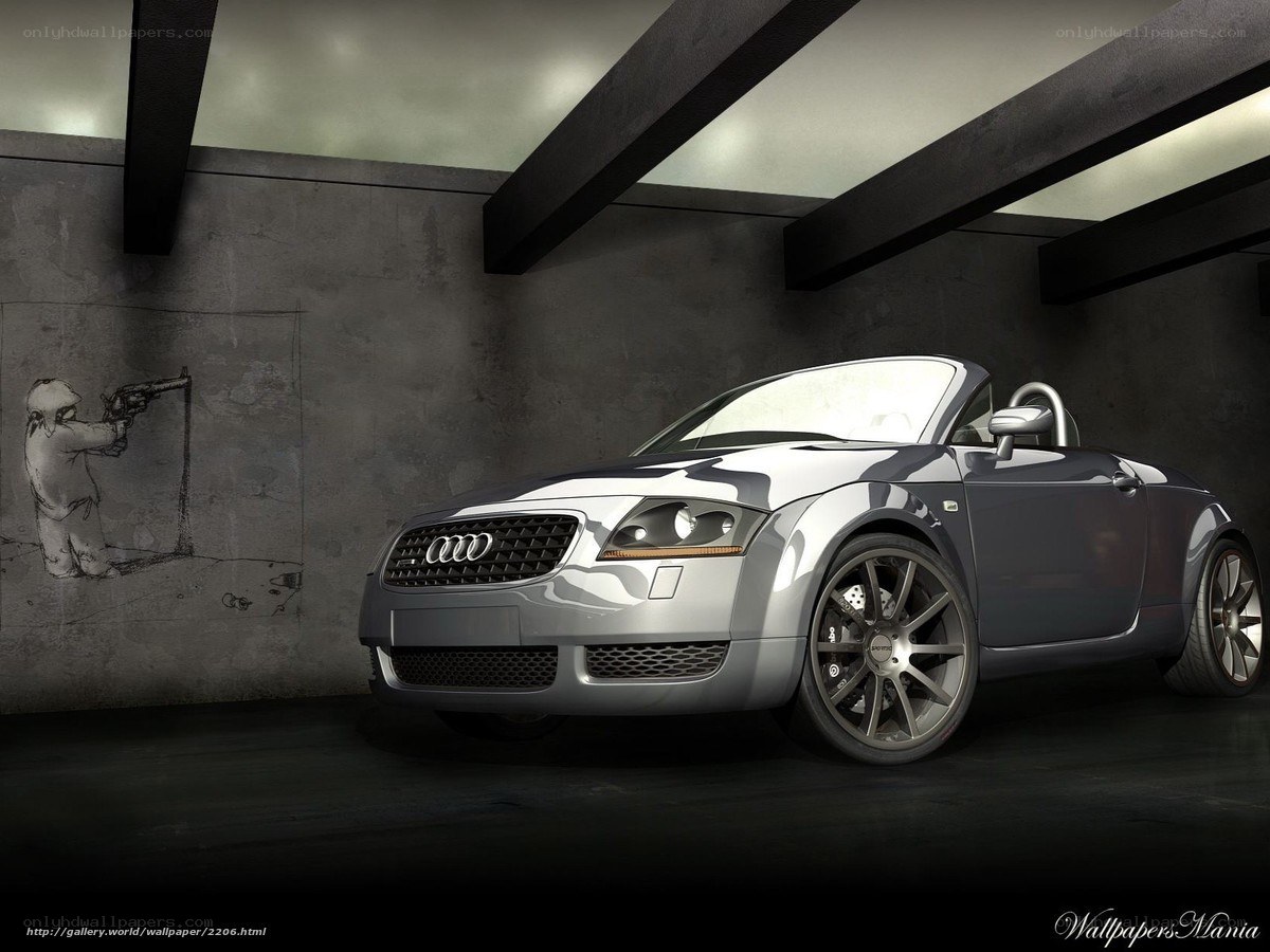Silver Audi TT in garage