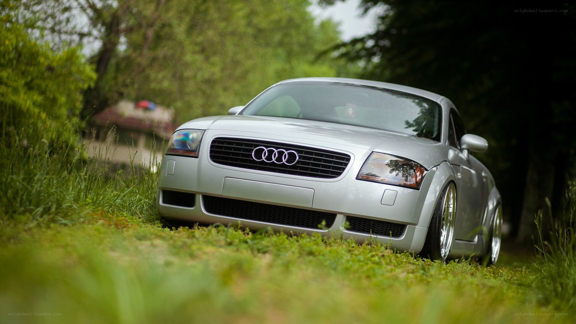 silver audi tt on grass
