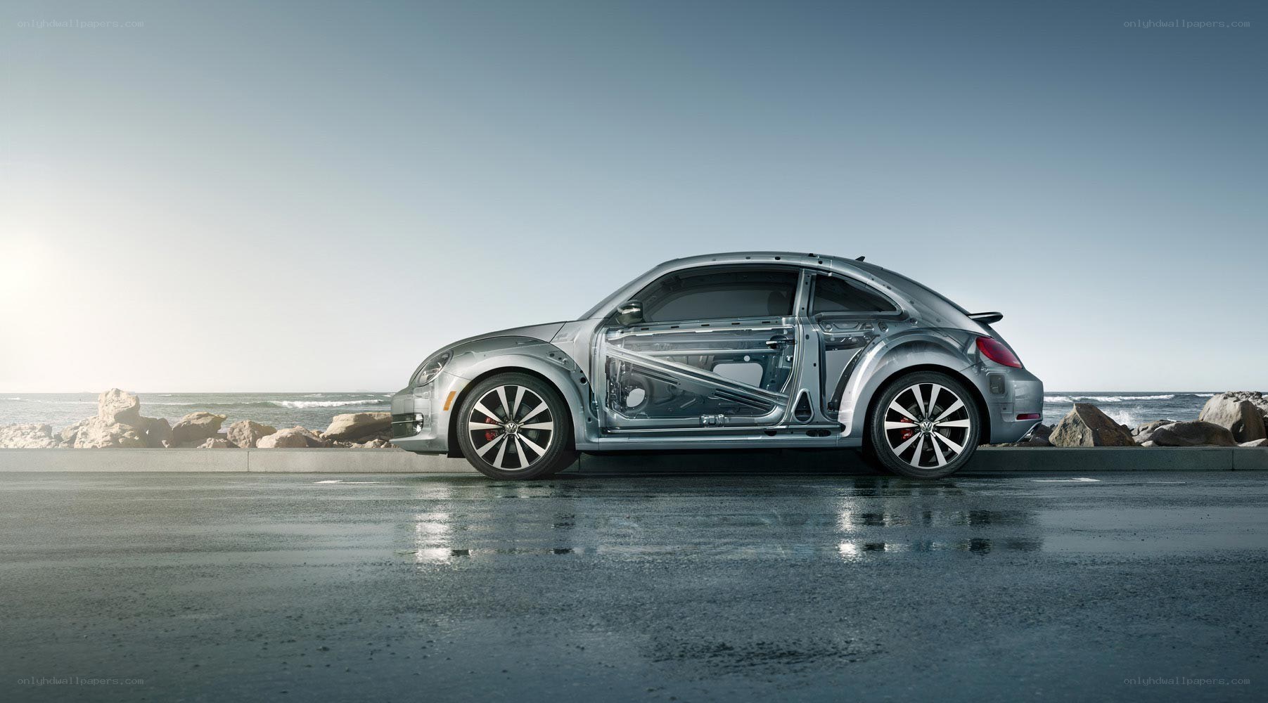Silver Beetle with transparent body