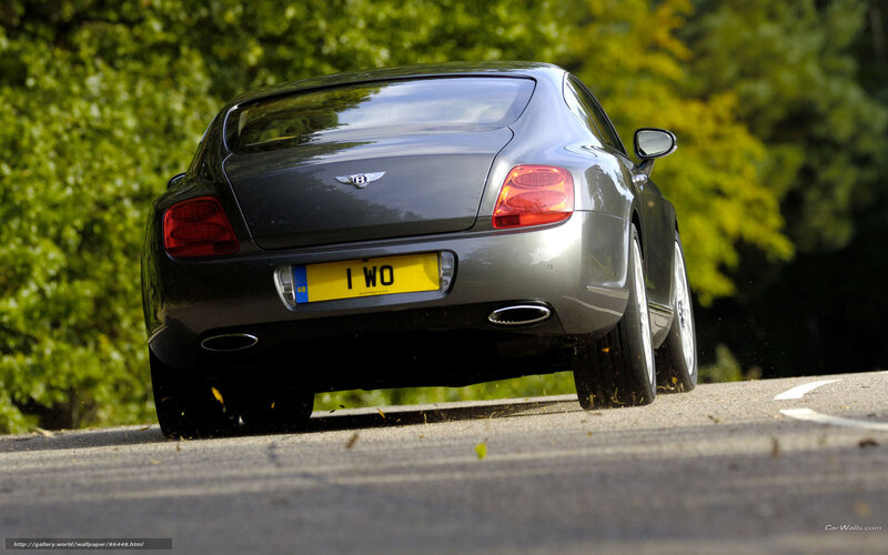 Silver Bentley Car — Gray, Dynamic