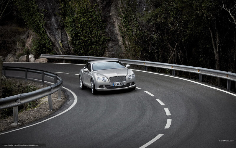 Silver Bentley Car — Gray
