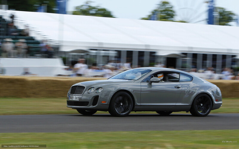 Silver Bentley Coupe — Gray, Dynamic
