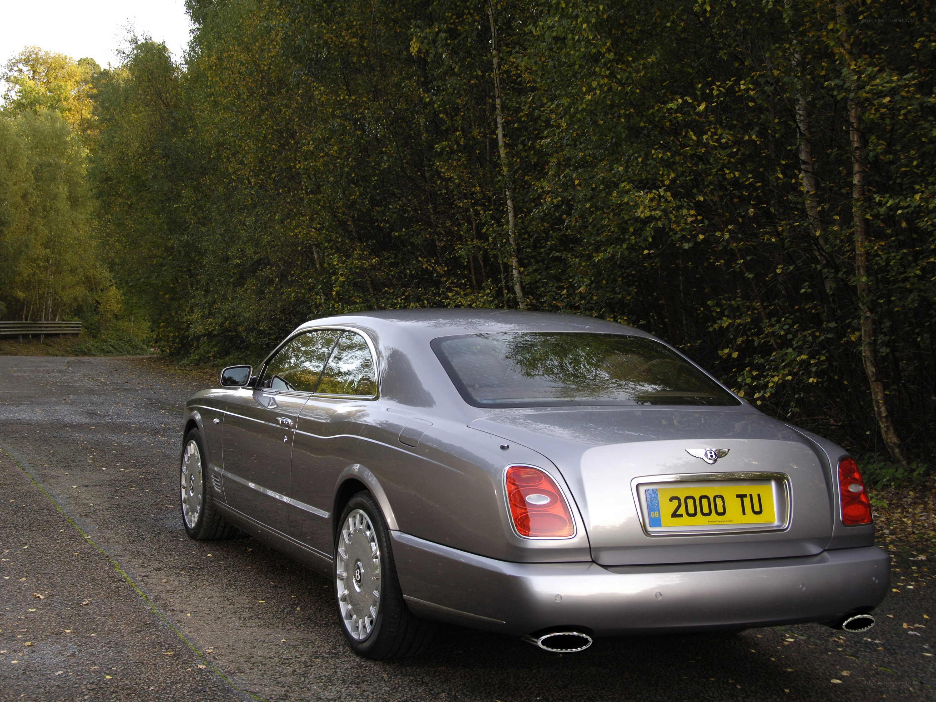 silver bentley parked in forest