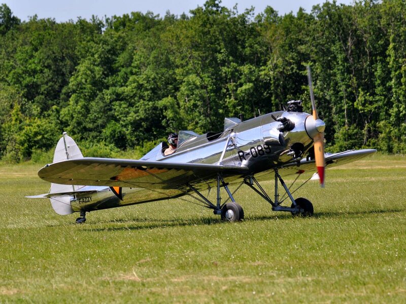 Silver Biplane on Grass