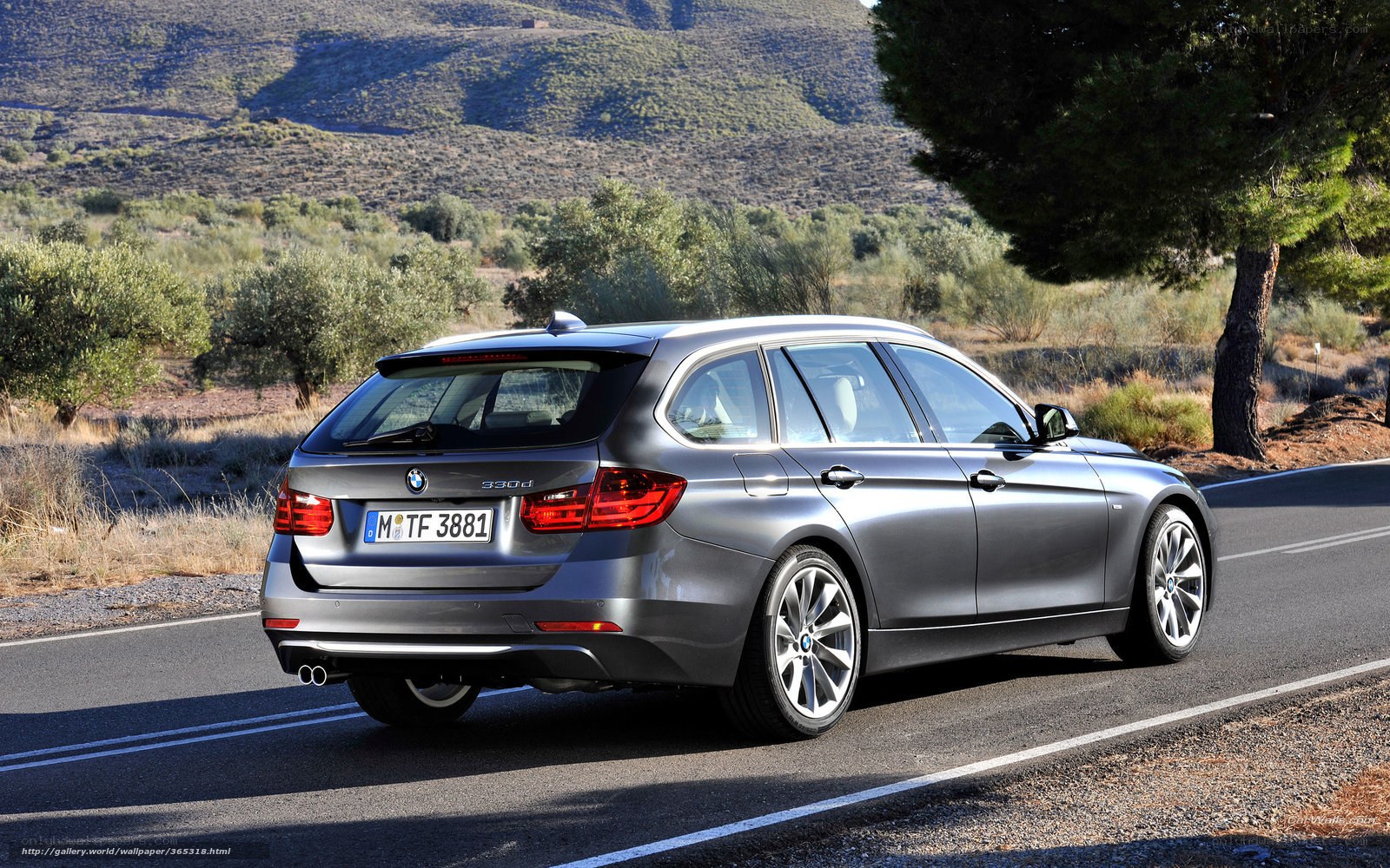 silver bmw 330d on a road