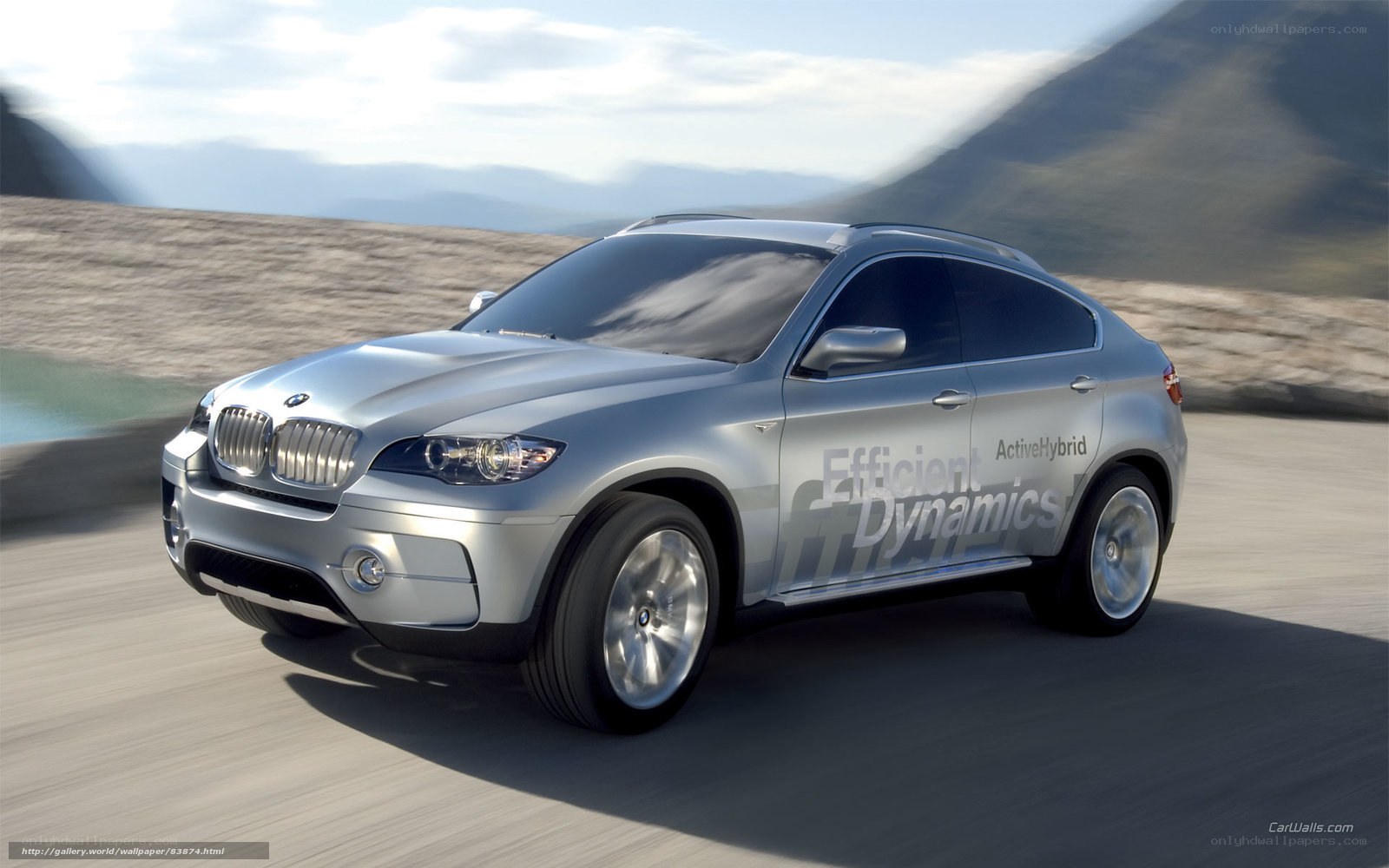 Silver BMW ActiveHybrid X6