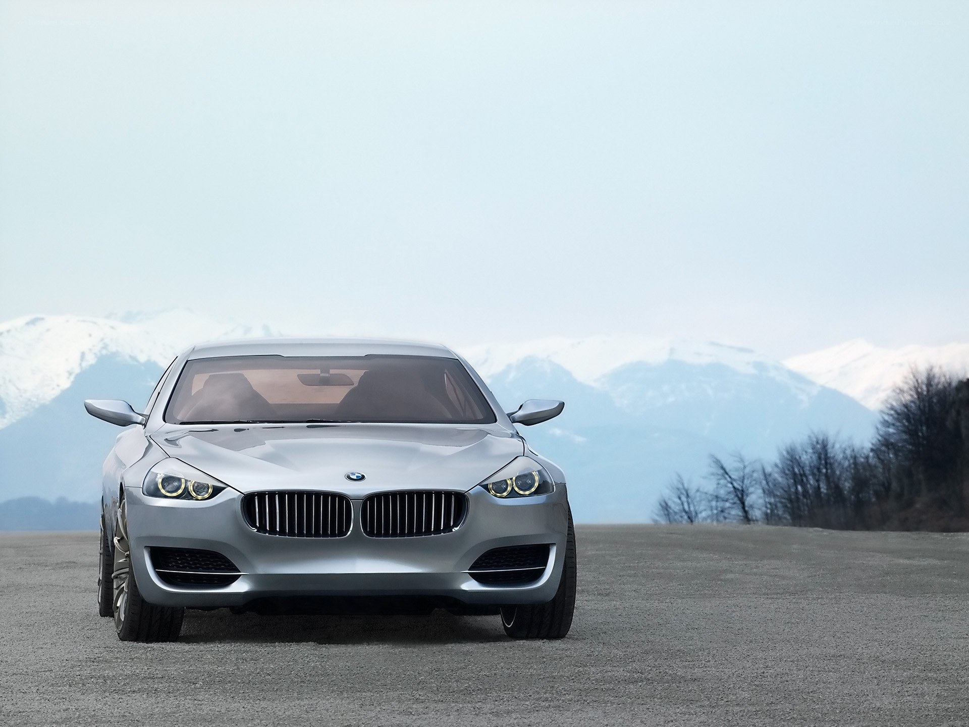 Silver BMW concept car