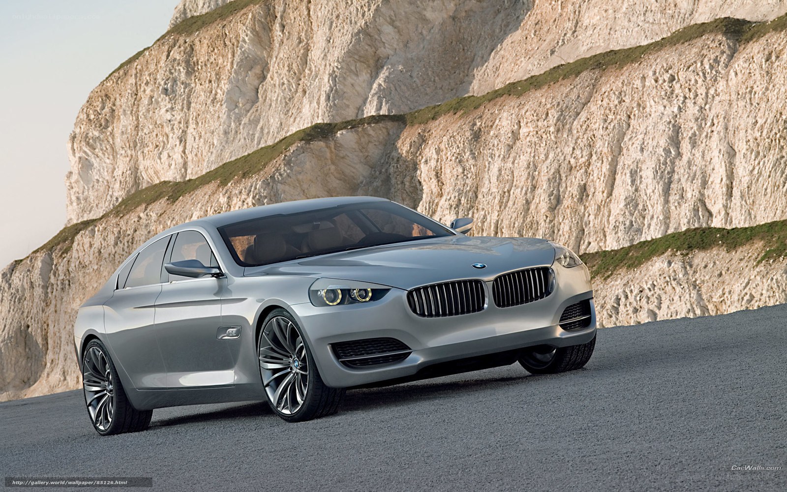Silver BMW concept car