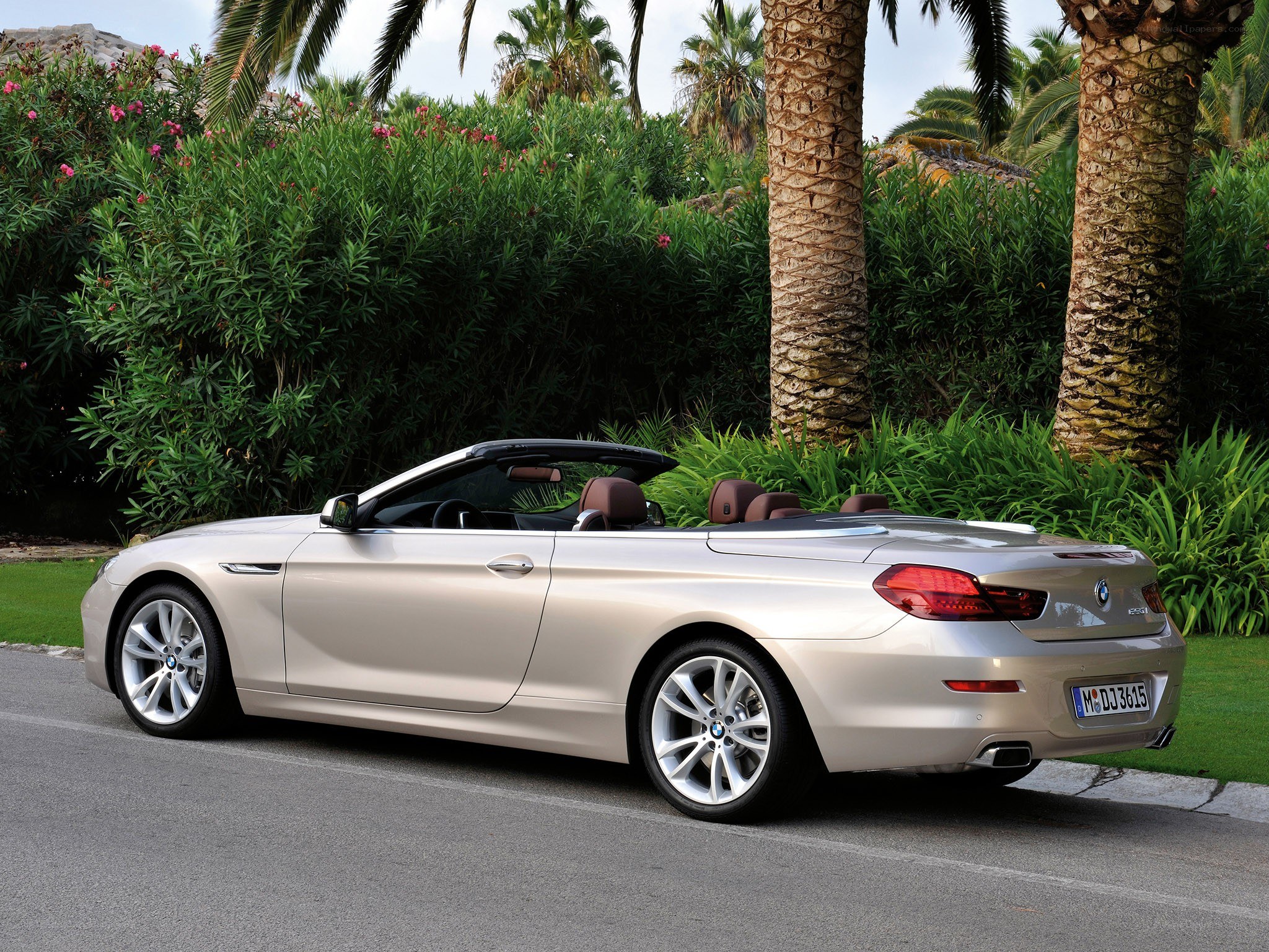 silver BMW convertible car
