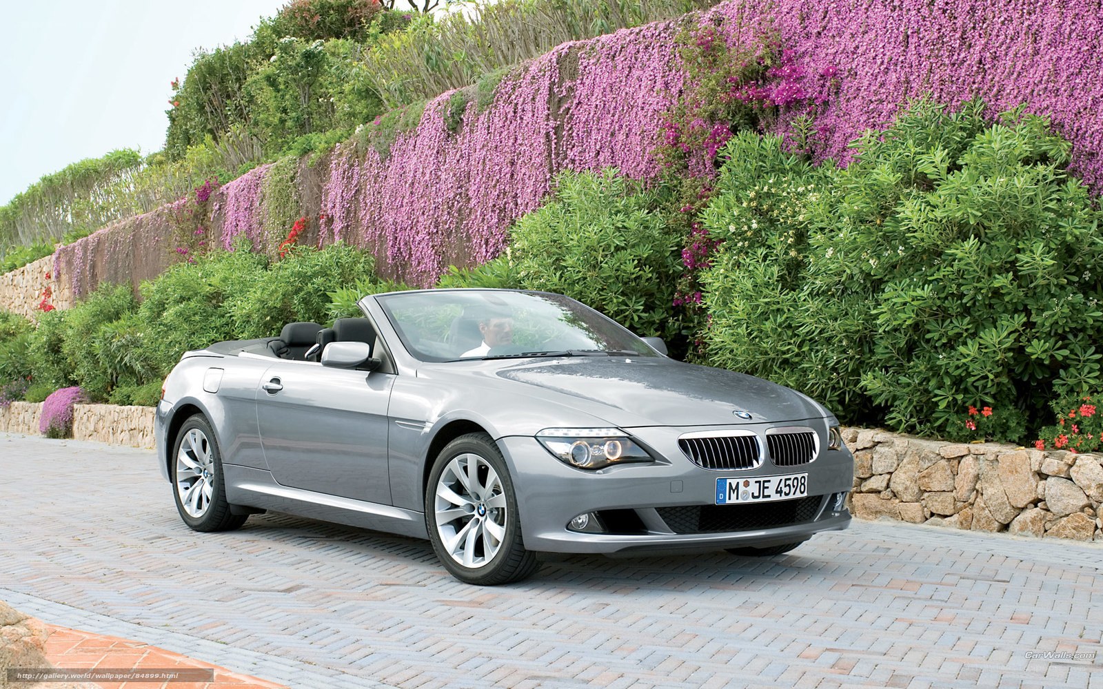 Silver BMW convertible on a garden path