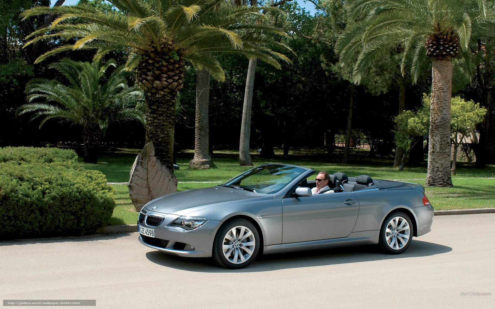 Silver BMW convertible on a sunny day