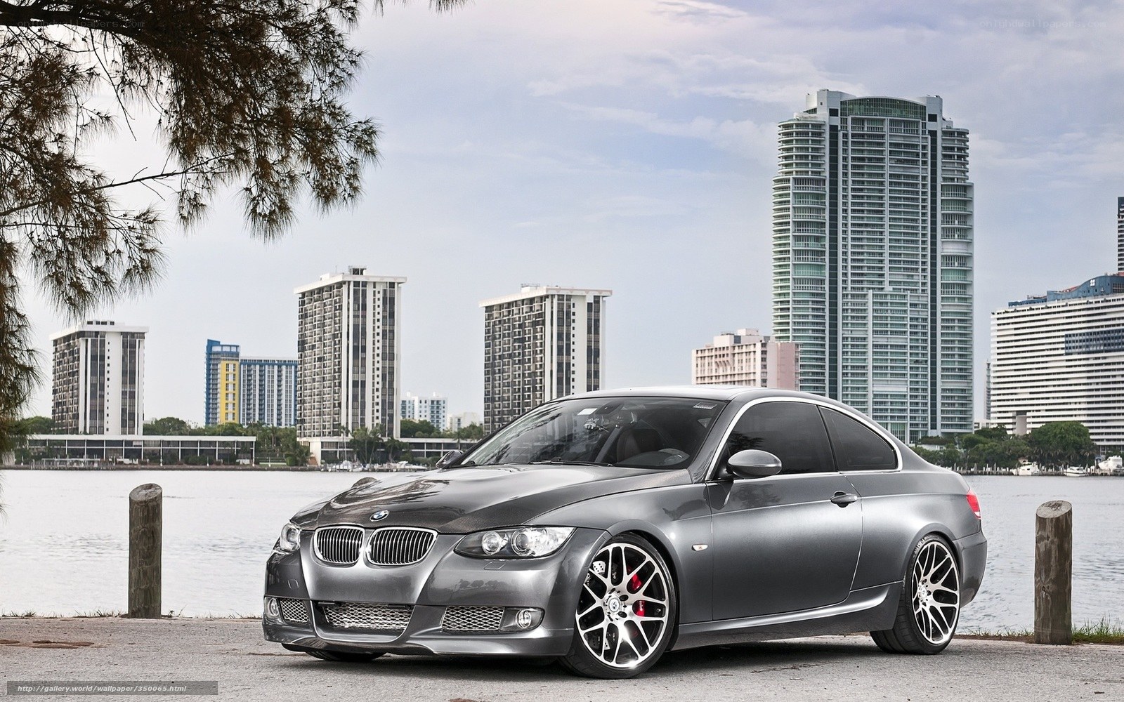 silver bmw coupe by waterfront
