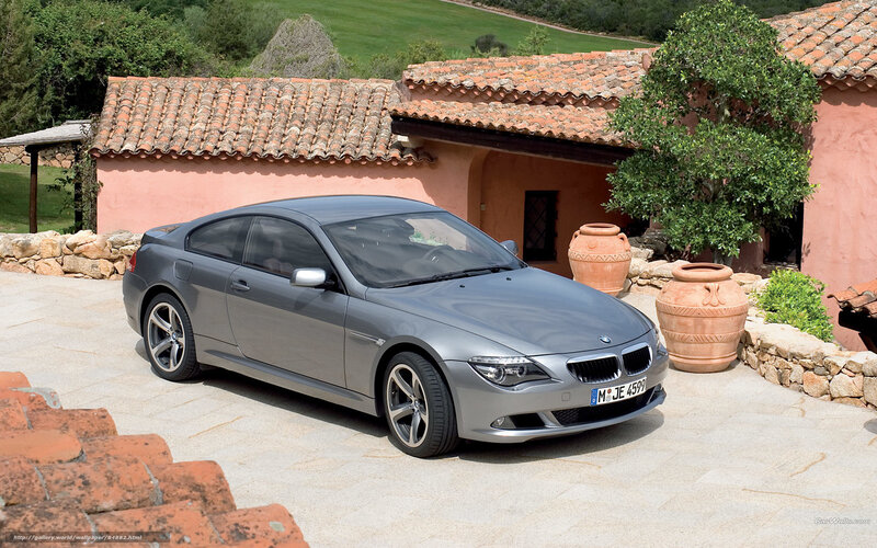 Silver BMW Coupe — Gray, Serene, Afternoon