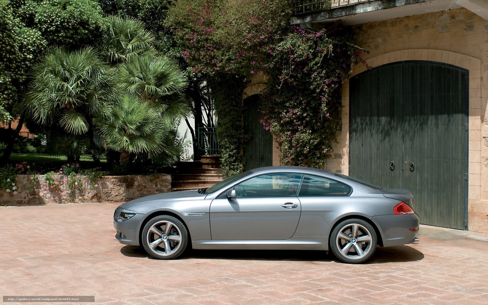 Silver BMW coupe in driveway
