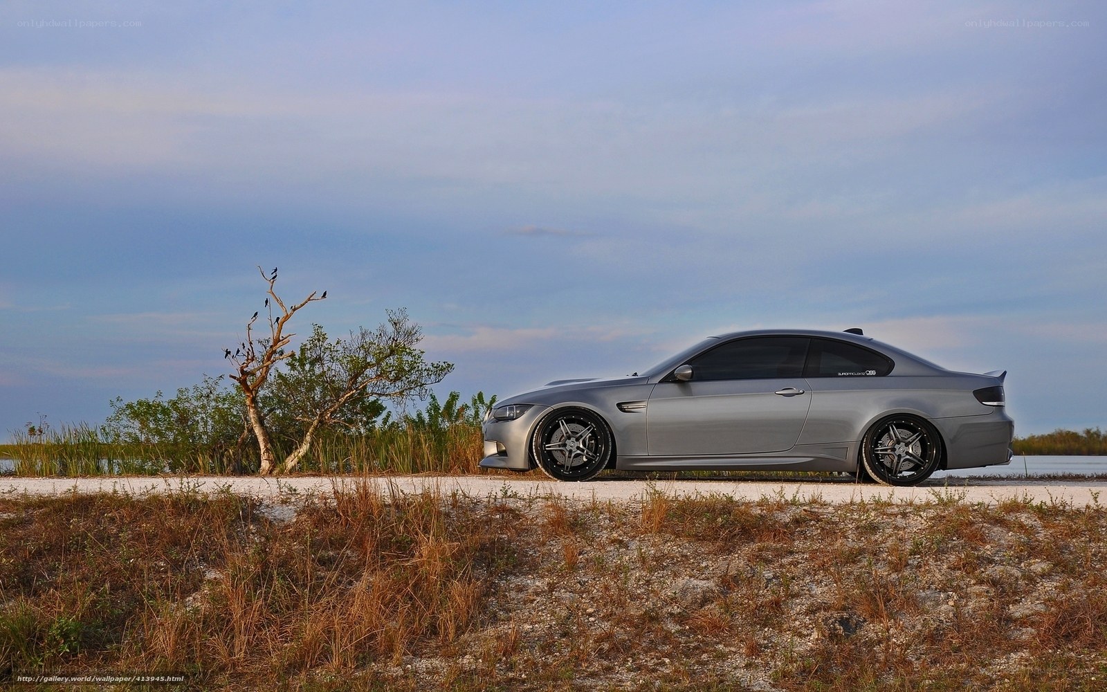 Silver BMW coupe on a coastal road