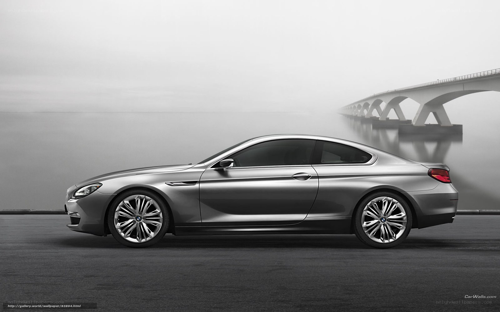 silver bmw coupe on a foggy bridge