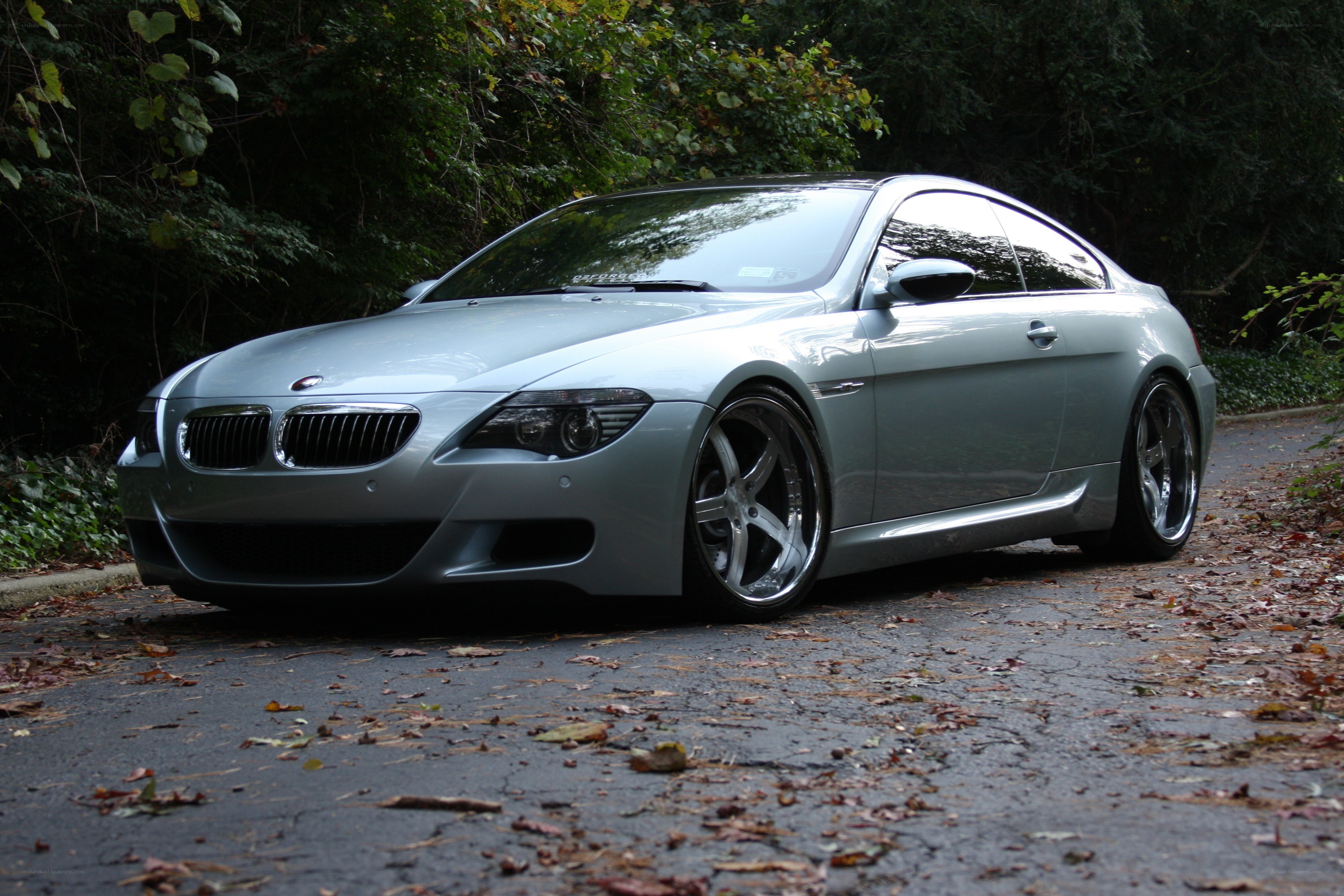 silver BMW coupe on a leafy road