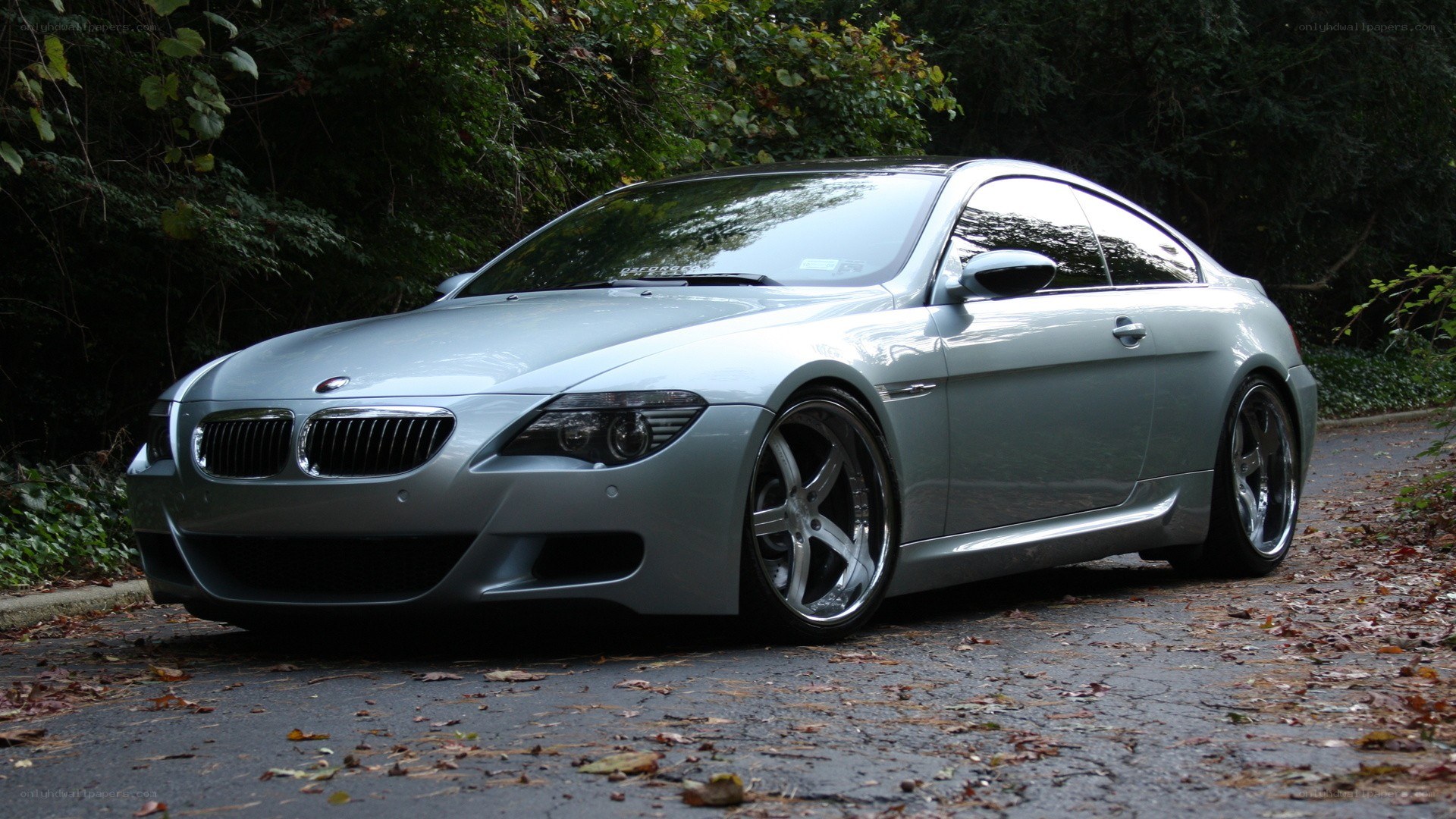 silver bmw coupe on road